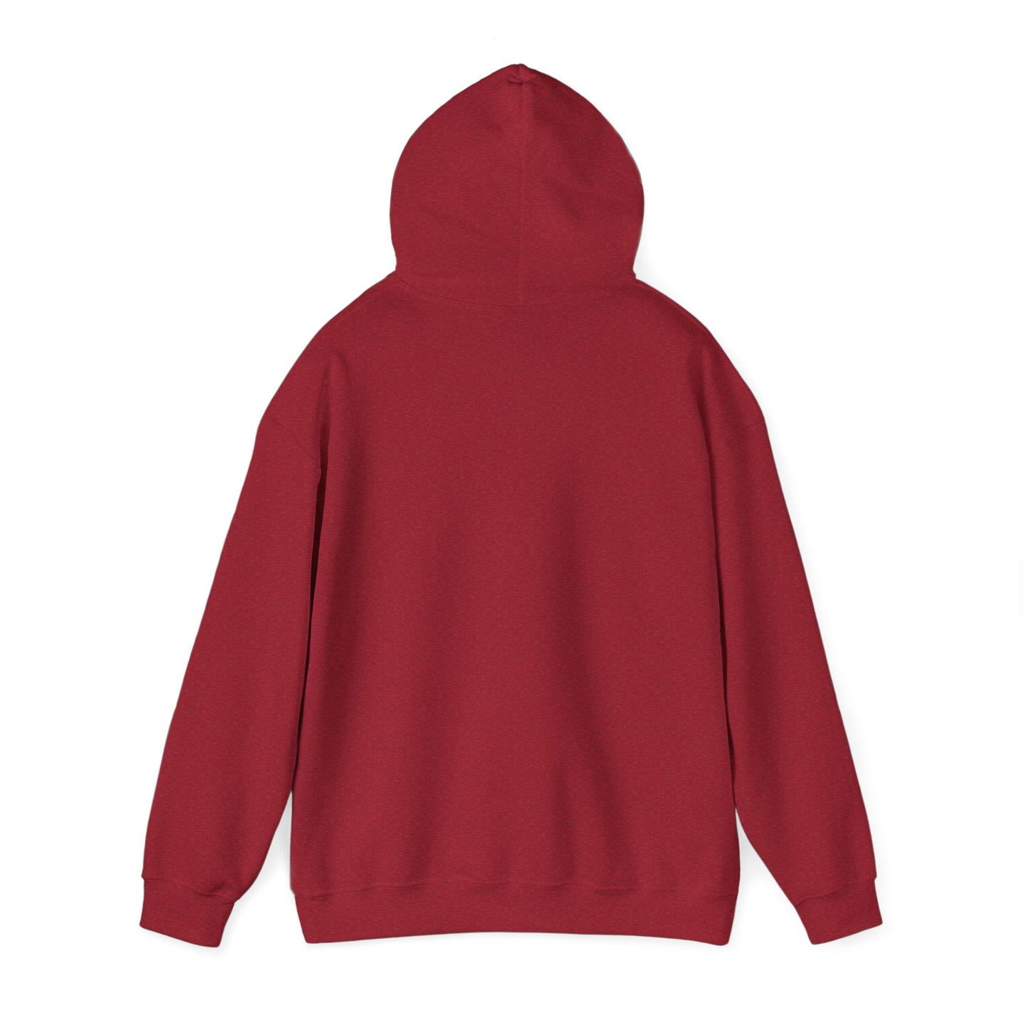 PLAYAUDIOMUSIC® 360WITME™ USA GLOBAL Hoodie