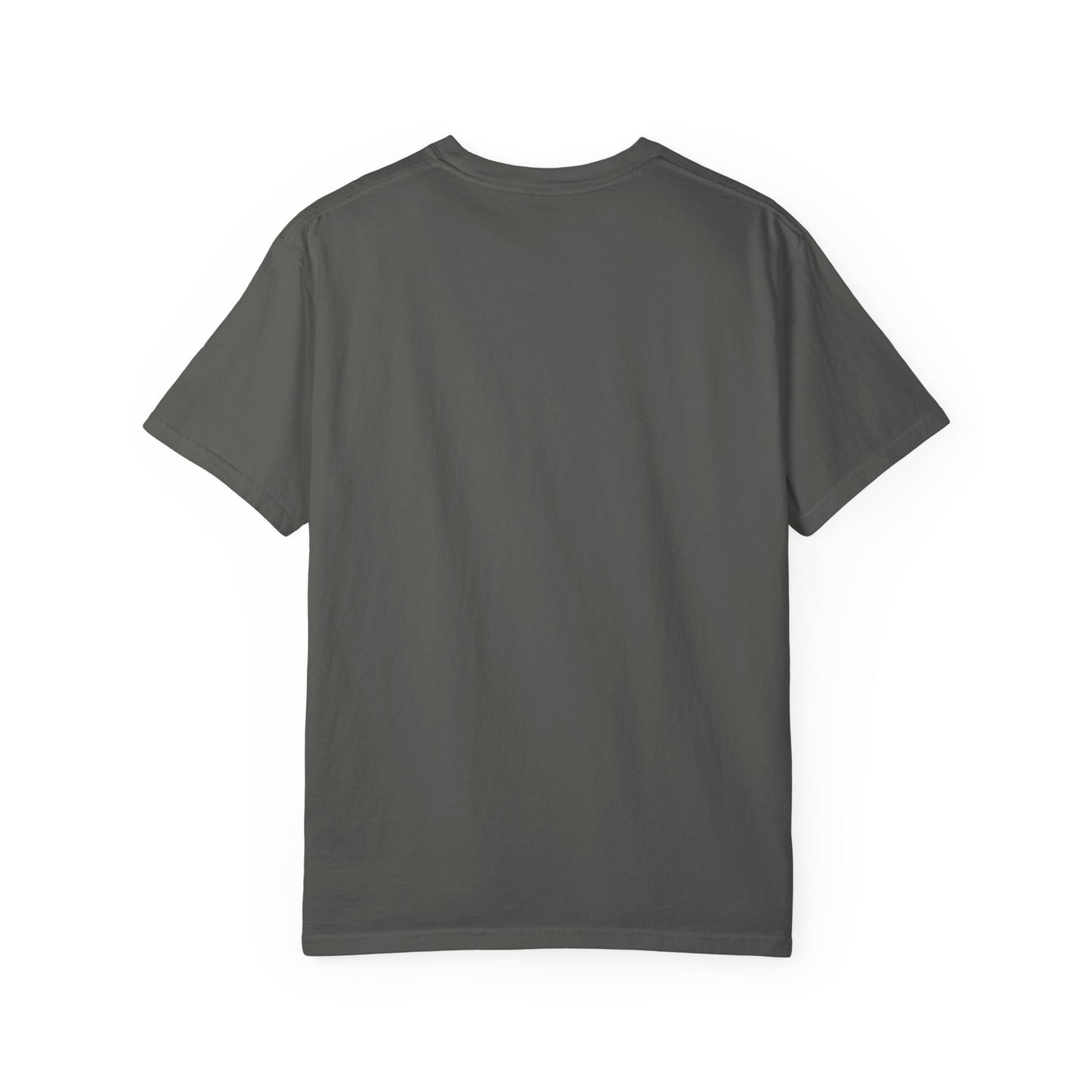 PLAYAUDIOMUSIC® 360WITME™ AMERICA CITY TEE