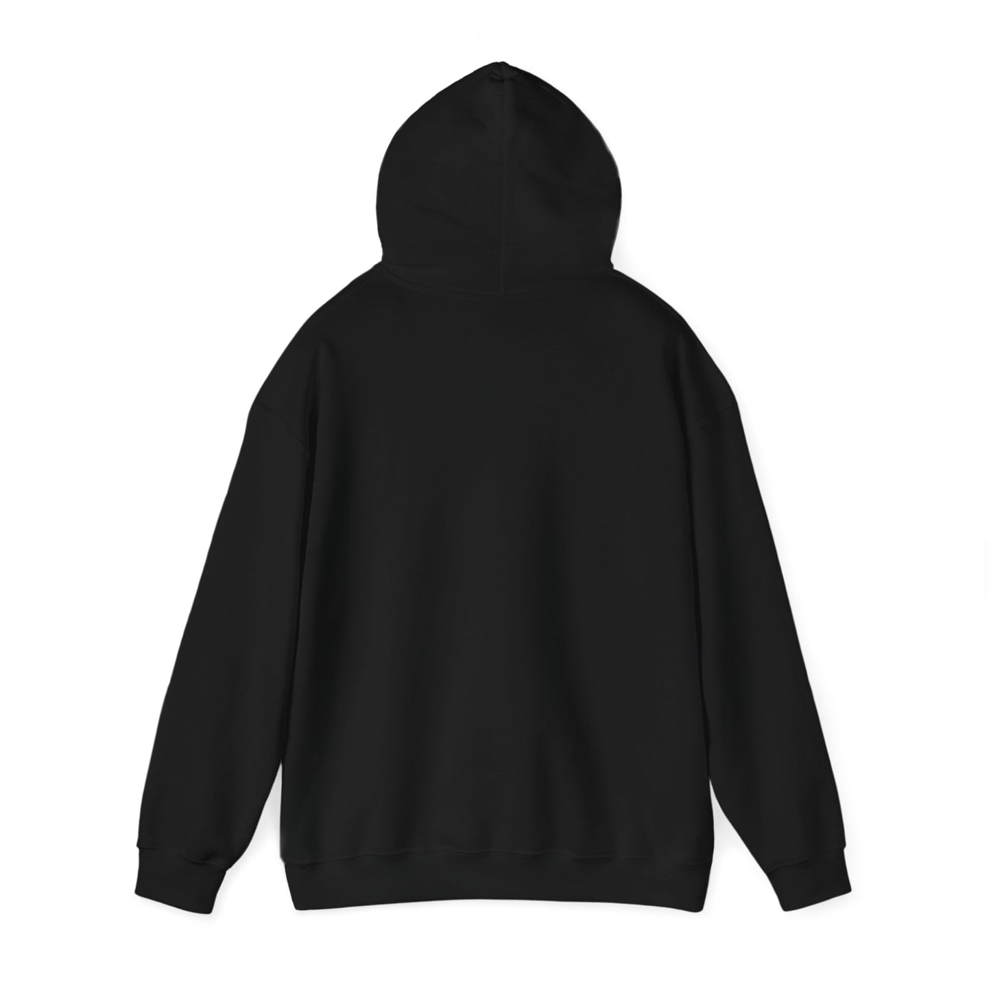 PLAYAUDIOMUSIC® 360WITME™ USA GLOBAL Hoodie