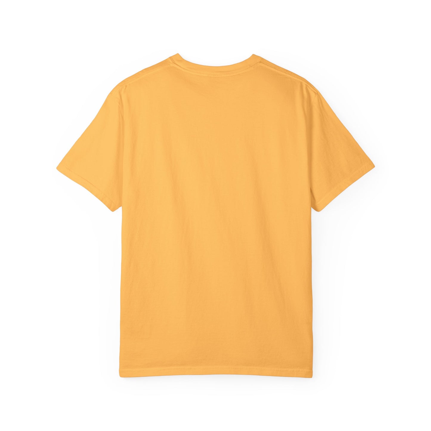 PLAYAUDIOMUSIC® 360WITME™ New Orleans Skyline TEE